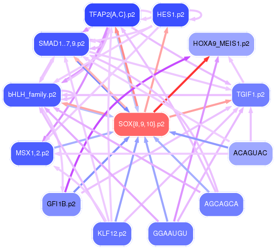 PNG image of the network